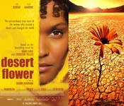 კინოშედევრები, უდაბნოს, ყვავილი, Desert, Flower